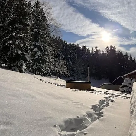 Apartment Le Renard Bain Finlandais Privatif Gerardmer