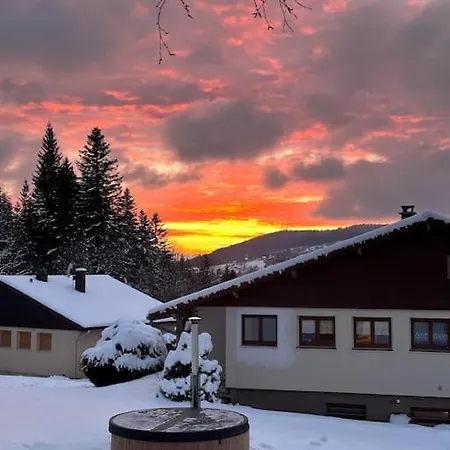 Le Renard Bain Finlandais Privatif * Gerardmer